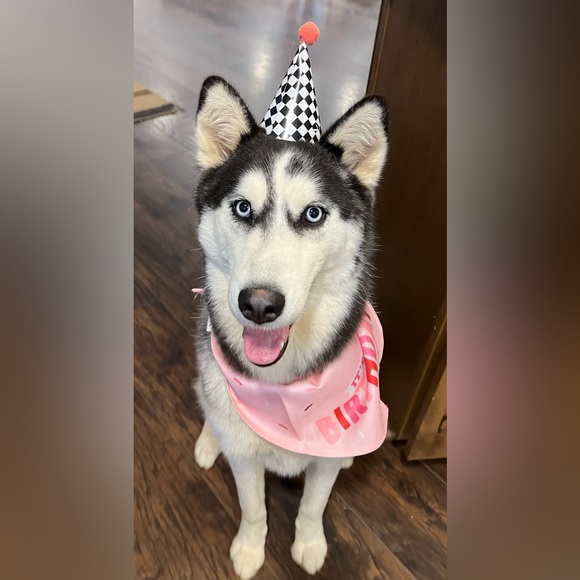 💁🏻‍♀️ HI!! 👸🏻 - Picture 5 of 16